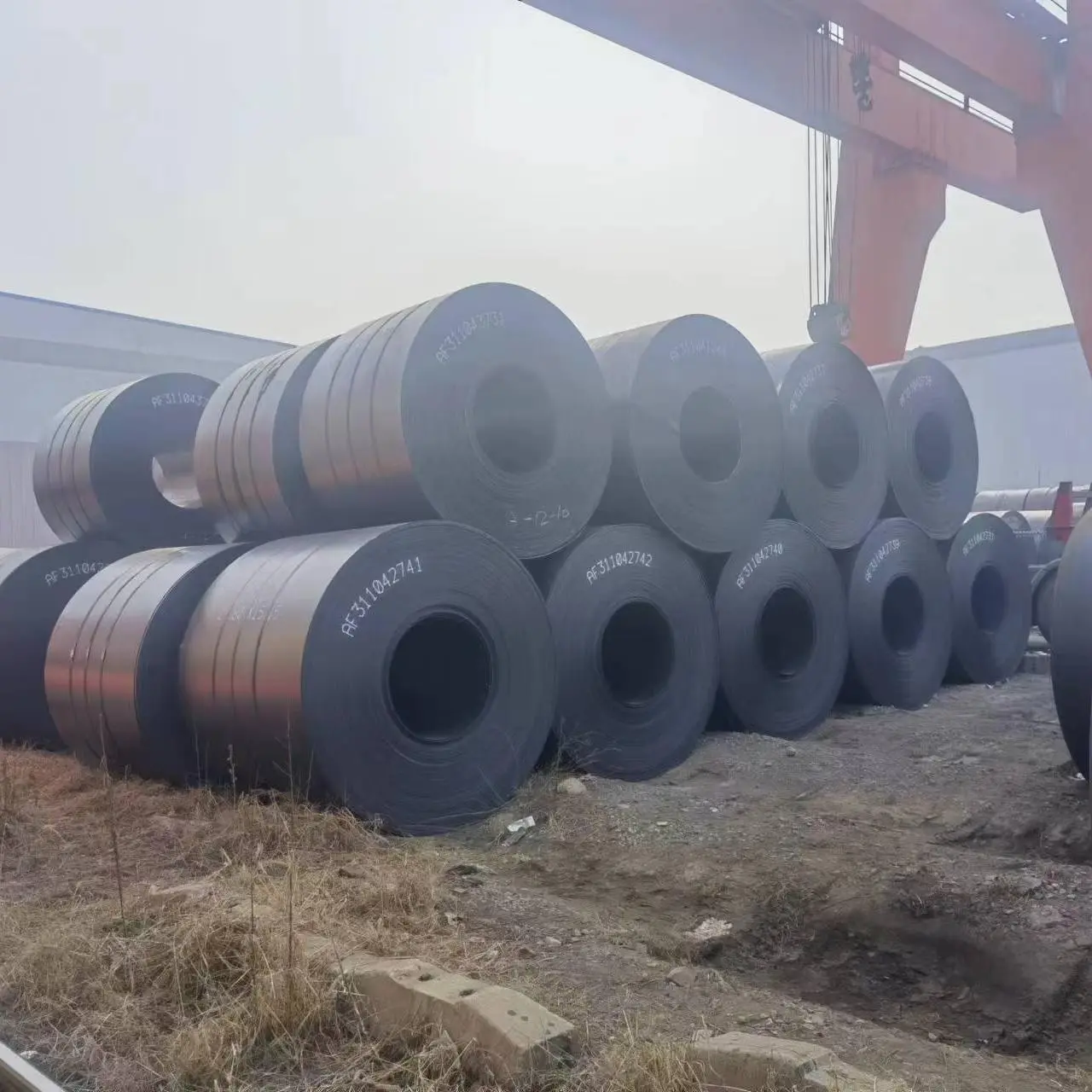 Carbon Steel Coil (22).jpg